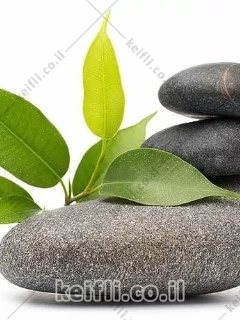 מסאז' מקצועי, משחרר כאבי גב- בקריות title=